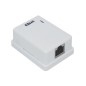 کیستون باکس Cat6 UTP تک پورت کی نت مدل KN1106