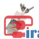 قیمت همکاری سوکت شبکه CAT6A کی نت پلاس،سوکت شبکه CAT6A STP برند کی نت پلاس،خش عمده سوکت شبکه CAT6کی نت پلاس